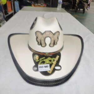 Sombrero moderno