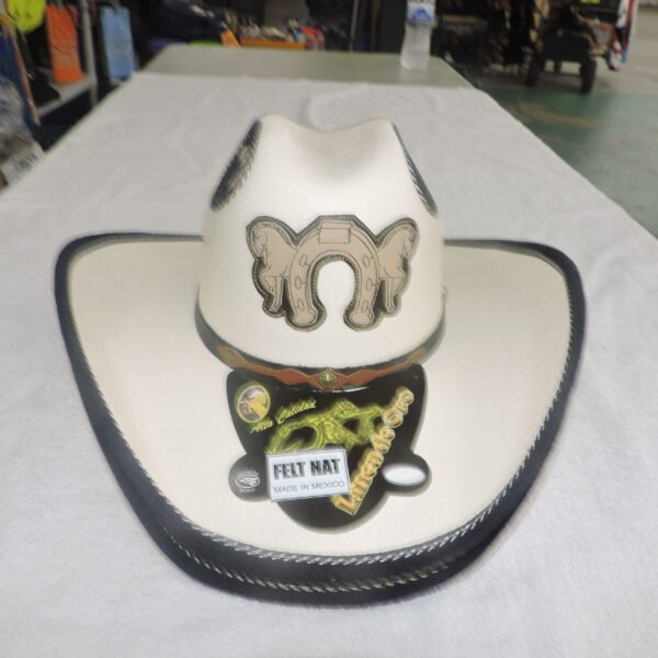 Sombrero moderno